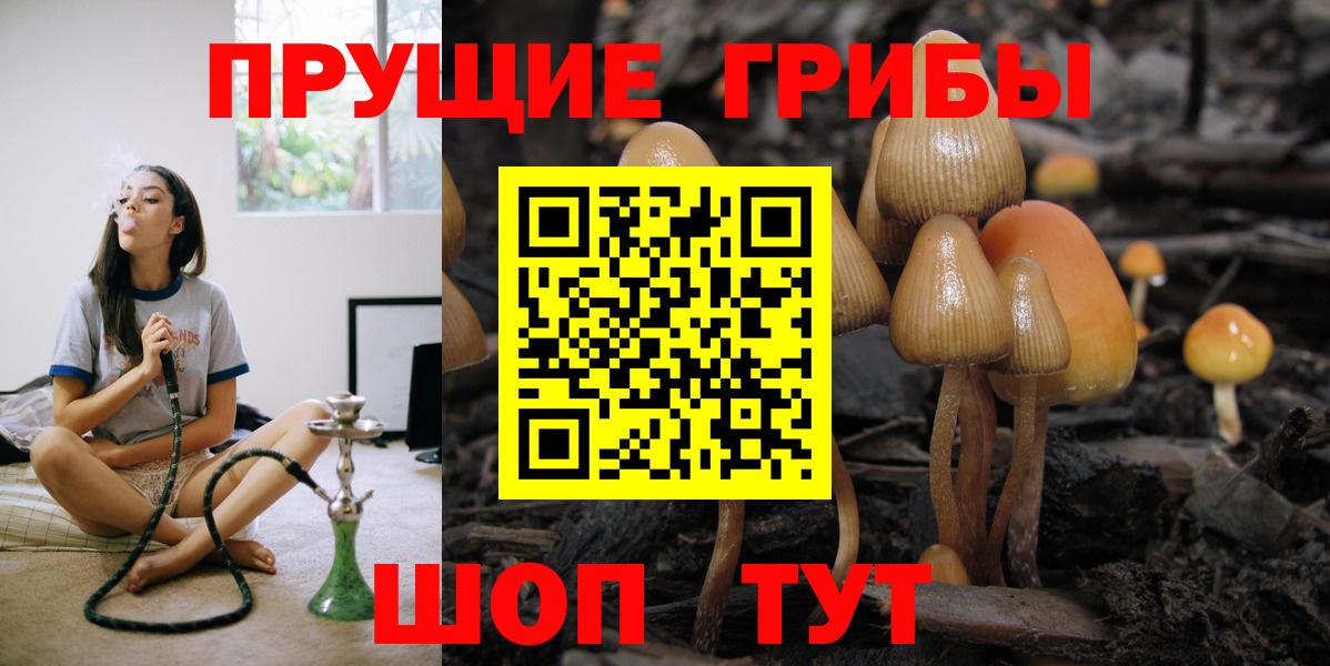 Псилоцибиновые грибы Cubensis  Псилоцибиновые грибы Magic Shrooms  Североморск  Вход с VPN 