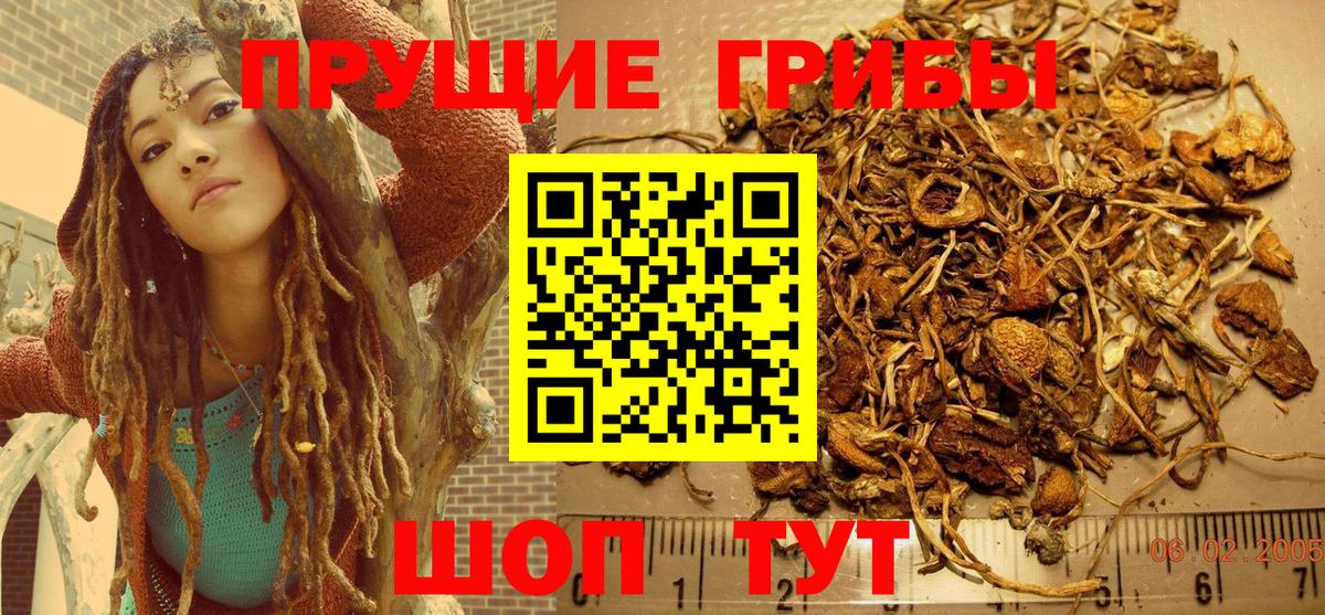 Псилоцибиновые грибы GOLDEN TEACHER Североморск
